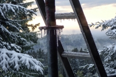 2019-05-04_Arbeitseinsatz_4880