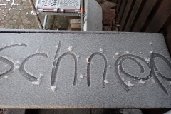 2019-05-04_Arbeitseinsatz_4887