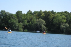 M.Heilig