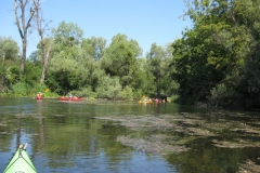 M.Heilig