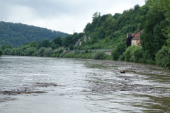 2021-Neckar-008