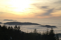 KONICA MINOLTA DIGITAL CAMERA