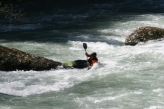 WW_IMG_4152-1