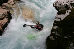 WW_IMG_7931-1