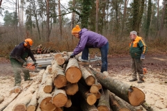 2019_Holz_DW_001