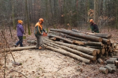 2019_Holz_DW_002