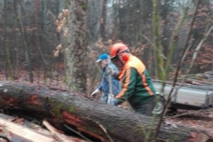 2019_Holz_MH_003
