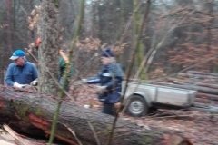 2019_Holz_MH_005