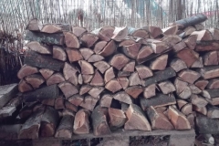 2019_Holz_MH_013