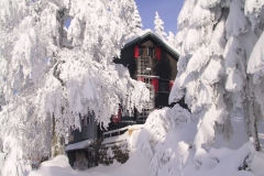 MWH_Winter-015