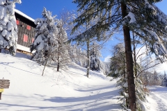 2021-01-15_MWH-Winter_7443