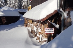 2021-01-15_MWH-Winter_7449