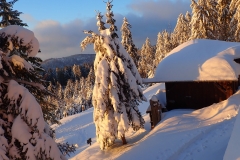 2021-01-15_MWH-Winter_7487