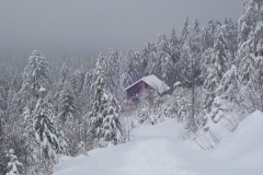 2021-01-16_MWH-Winter_7395