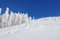 2021-01-16_MWH-Winter_7418