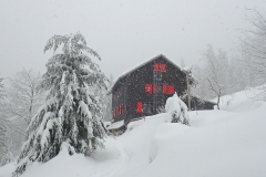 2021-01-17_MWH-Winter_7369