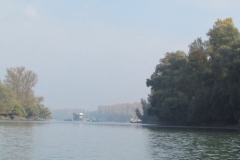 2016-Otterstadt-2_0009