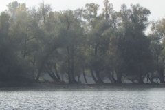 2016-Otterstadt-2_0014