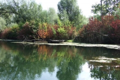 2014-09-07_Paddeln_Altwasser_web