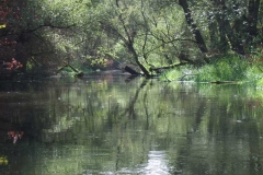 2014-09-14_Paddeln_Federbach_web