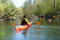 2015_Auenheim_MT_019